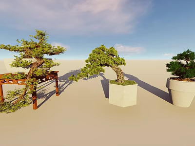 Outdoor Bonsai Potted Plants Display Under Blue Sky With Wooden Stand And Stone Pots 3d model