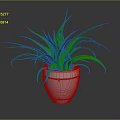 Vibrant Green Plant In White Ceramic Pot With Dark Background And Fresh Leaves