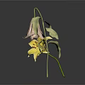 Yellow Lily Flower and Wilted Plant with Green Leaves on White Surface