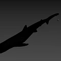 Realistic Shark Figure With Sleek Body And Fin Details On Gray Backdrop