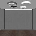 Modern Ceiling Lights with Various Styles Round and Petal Design for Home 3d model