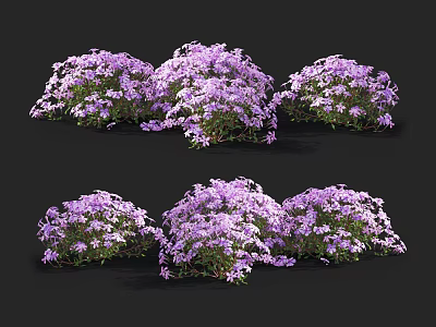 Vibrant Purple Flower Bushes With Lush Green Leaves In Garden Setting 3d model
