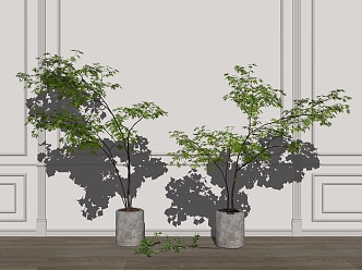 Modern Potted Plant Potted Plant Green Plant Bonsai 3d model