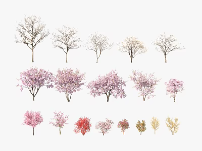 Different Types of Arbor Trees with Bare Branches Blooming Pink Flowers and Colorful Leaves 3d model