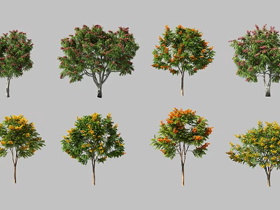 Ornamental Trees With Colorful Foliage In Green Red Orange And Yellow 3d model