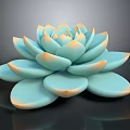 Beautiful Blue Green Succulent with Soft Petals and Orange Edges on Black Background