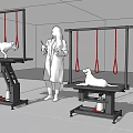 Industrial Equipment for Animal Rehabilitation with Adjustable Frame and Red Suspension Straps