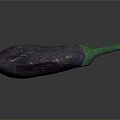 Fresh Purple Eggplant with Green Stem and Smooth Skin on Dark Background