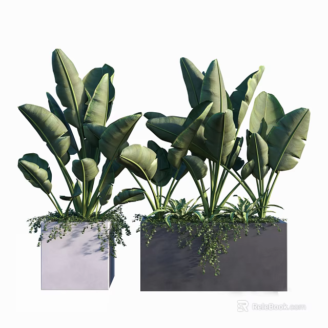Potted Plants With Large Green Leaves In Square Gray Dark Gray Pots And Trailing Vines 3d model 
