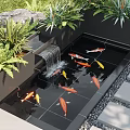 Outdoor Water Fountain with Koi Fish Swimming and Lush Green Plants in Garden
