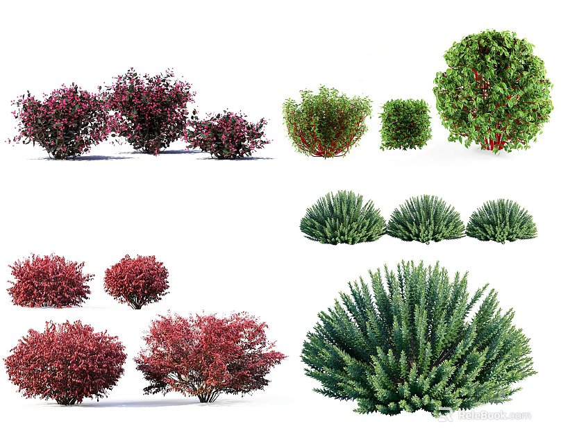 Vibrant Green and Red Bushes in Various Sizes and Shapes for Landscaping 3d model 
