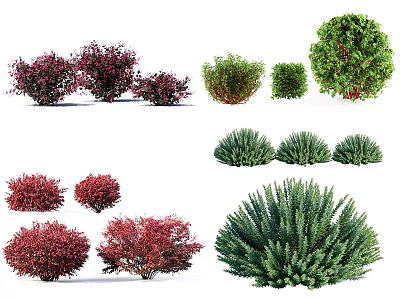 Vibrant Green and Red Bushes in Various Sizes and Shapes for Landscaping 3d model
