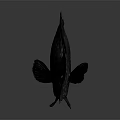 Spotted Fish with Intricate Dark Pattern and Sharp Dorsal Fin on Smooth Gray Surface 3d model