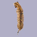 Orange And Black Striped Reptile Lizard In Standing Posture On Grey Background