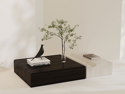 Modern coffee table decorations model