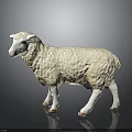 Beautiful White Sheep with Curly Fleece Standing on Gray Background 3d model