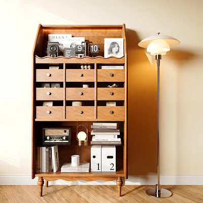 Wooden Decorative Cabinet with Drawers Compartments Cameras Photo Radio Books Numbered Boxes Near Floor Lamp 3d model