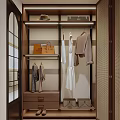 Modern Walk in Closet Interior With Hanging Clothes Shelves Hat Handbag And Storage Drawers