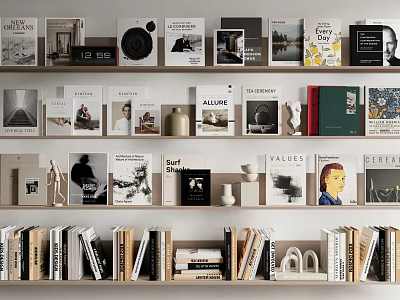 Stylish Bookshelf Collection With Various Books Magazines And Decorative Objects 3d model