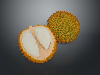 Fresh Whole and Halved Durian with Exposed White Flesh Close Up View 3d model