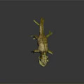 Yellow Chameleon Figure With Red Black Spots Woven Texture And Reflection On Dark Background
