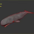 Detailed 3D Light Blue Whale Model With Open Mouth On Gray Background