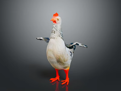 White and Gray Chicken With Orange Comb Outstretched Wings And Orange Feet On Gray Background 3d model