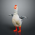White and Gray Chicken With Orange Comb Outstretched Wings And Orange Feet On Gray Background