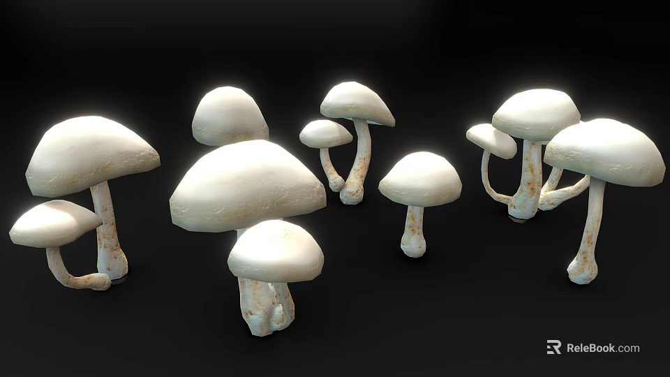 3D Rendered White Mushrooms on Black Background with Natural Shape 3d model 