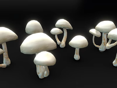 3D Rendered White Mushrooms on Black Background with Natural Shape 3d model