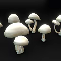 3D Rendered White Mushrooms on Black Background with Natural Shape