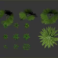 Green Tropical Plants With Various Leaf Shapes Sizes On Dark Background With Reflections 3d model
