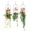 Stylish Hanging Planters With Green Trailing Plants And Decorative Designs