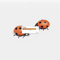 Two Red And Black Ladybugs On White Background With Spots 3d model
