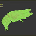 Cooked Orange Lobster With Curved Body And Open Claws Isolated On Gray Background