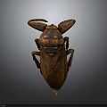Large Brown Beetle With Prominent Antennae Shiny Exoskeleton And Dark Background View