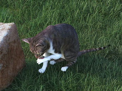 Gray and White Cat Licking Paw on Green Grass Beside Large Rock 3d model