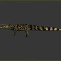 Crocodile Alligator Nile Crocodile carnivore reptile cold-blooded animal reptile 3d model