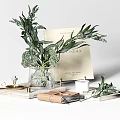 Stylish Decorative Ornament Set With Green Foliage Clear Glass Vase Books Candle And Coffee Cup