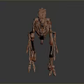 Pink Dinosaur Skeleton Model In Walking Pose With Dark Background And Reflective Surface