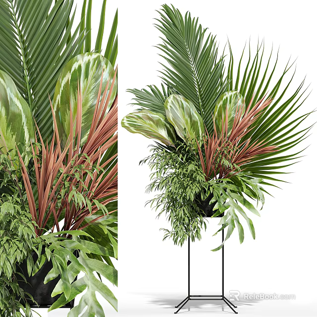 Decorative Tropical Potted Plants With Palm Leaves Ferns And Red Green Foliage On Black Stand 3d model 