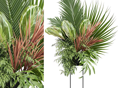 Decorative Tropical Potted Plants With Palm Leaves Ferns And Red Green Foliage On Black Stand 3d model