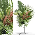 Decorative Tropical Potted Plants With Palm Leaves Ferns And Red Green Foliage On Black Stand