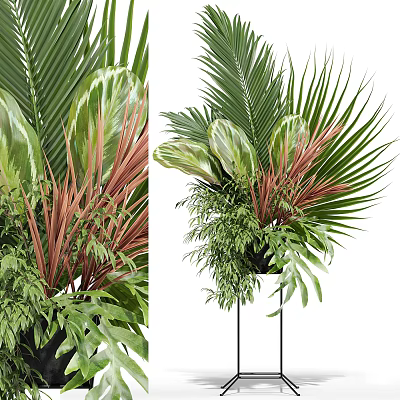 Decorative Tropical Potted Plants With Palm Leaves Ferns And Red Green Foliage On Black Stand 3d model