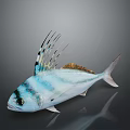 Blue And White Striped Fish With Black Head And Long Dorsal Fin Rays