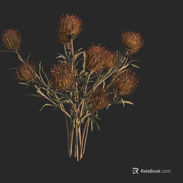 Brown And Orange Decorative Flower Bouquet With Slender Stems And Green Leaves 3d model 