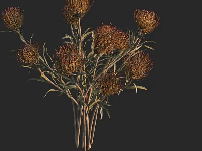 Brown And Orange Decorative Flower Bouquet With Slender Stems And Green Leaves 3d model