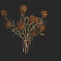 Brown And Orange Decorative Flower Bouquet With Slender Stems And Green Leaves