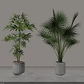 Potted Plants with Different Green Leaves in White Planters Against Light Wall and Floor