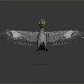 Grey Feathered Bird with Yellow Beak and Spread Wings Standing on Smooth Surface Grey Background